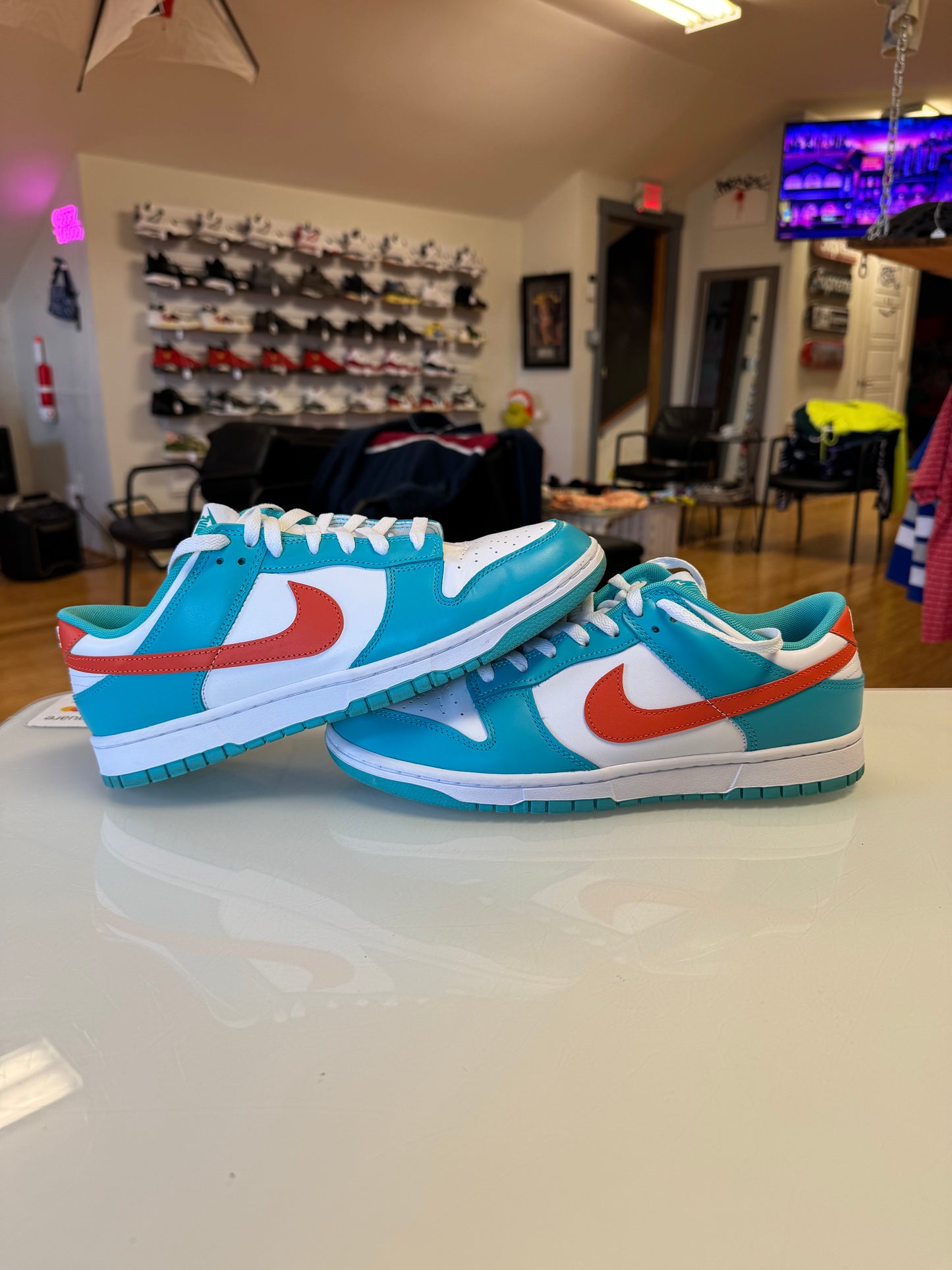 Nike dunk dolphins