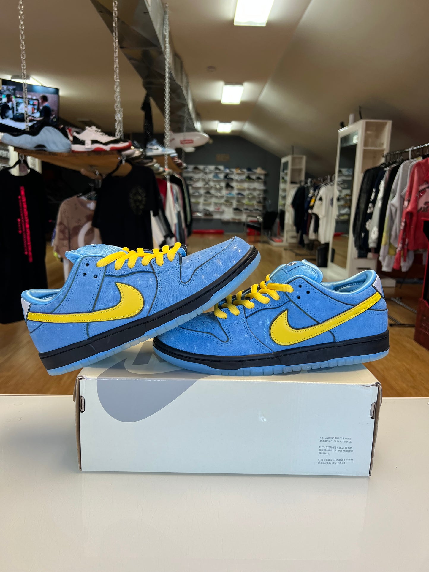 Nike Dunk SB Power Puff