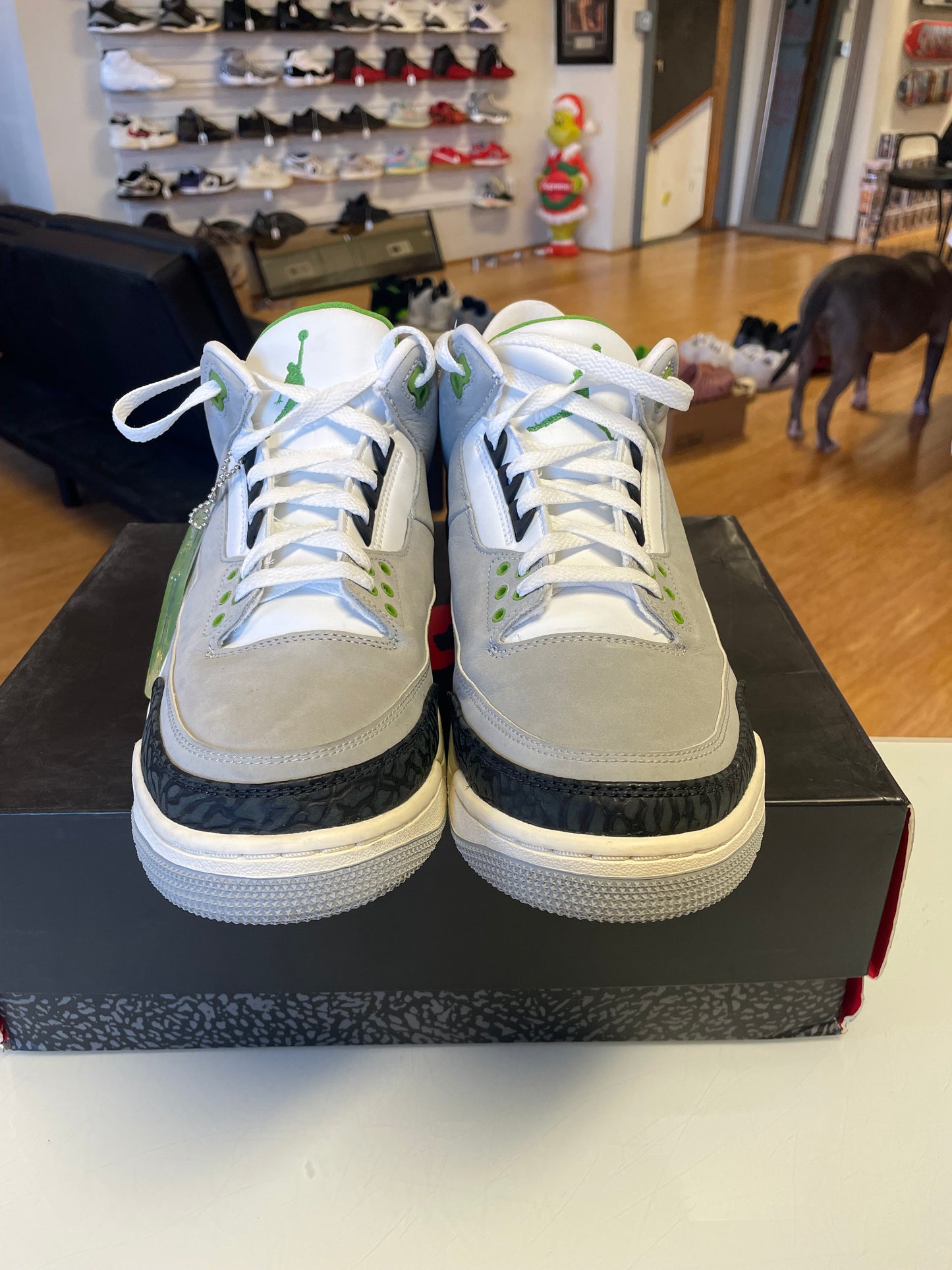 Jordan 3 Chlorophyll
