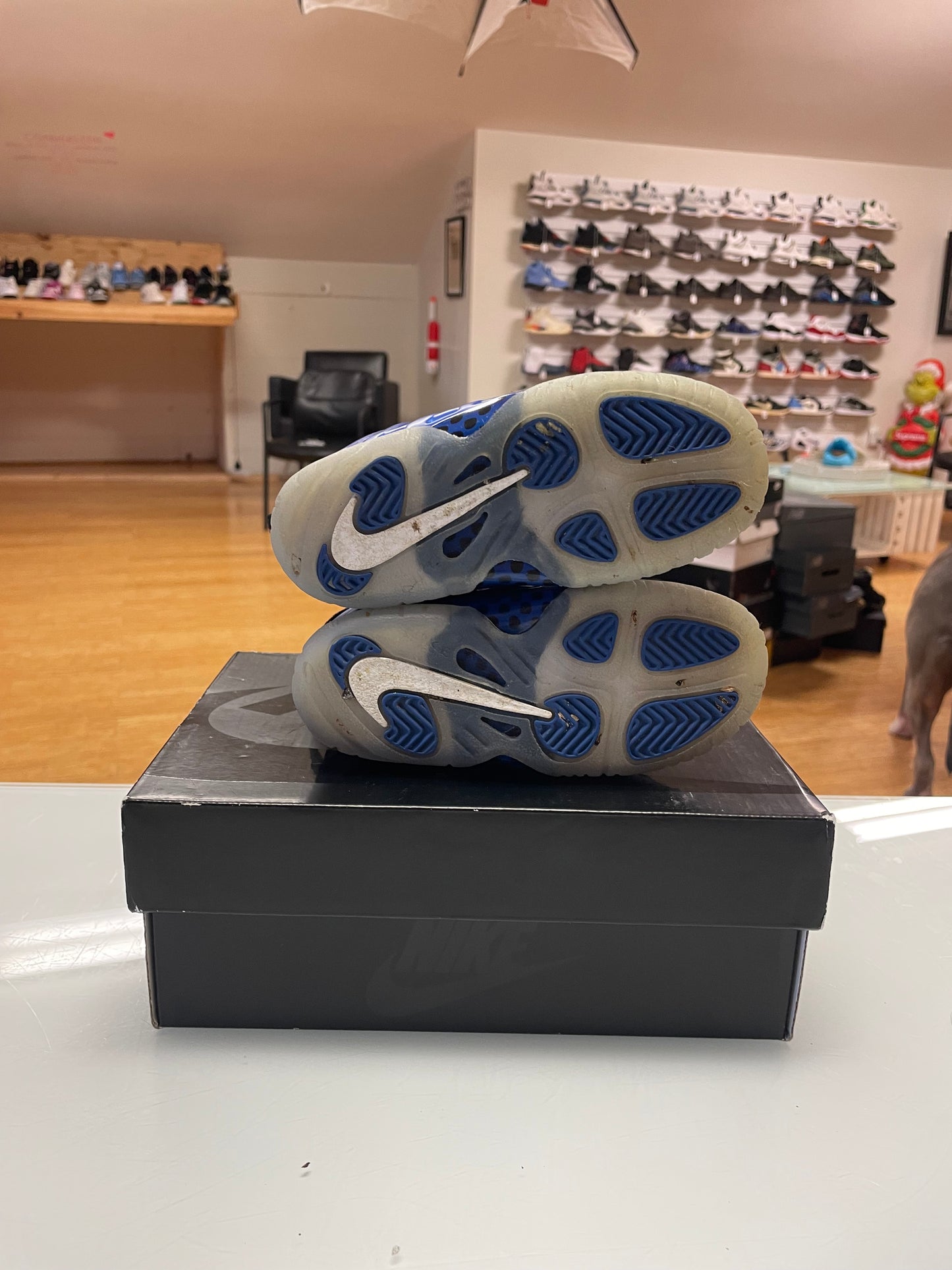 Nike Foamposite Blue