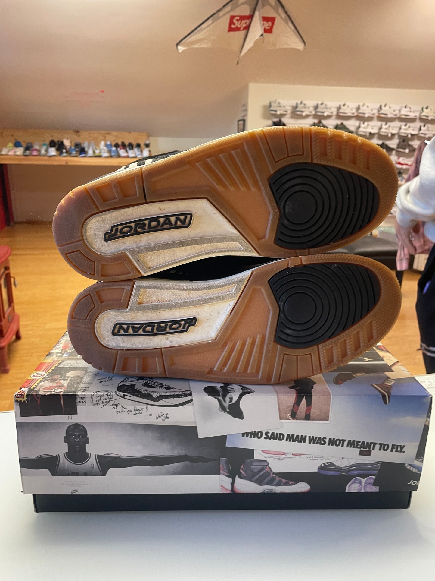 Jordan 3 Animal Instinct