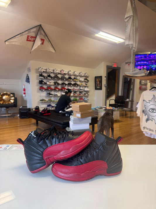 Jordan 12 Flu Game