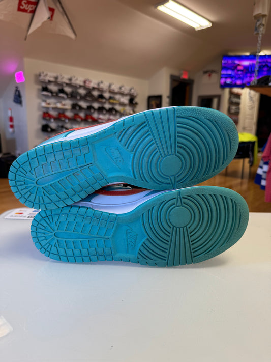 Nike dunk dolphins