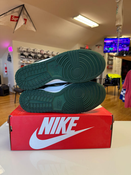 Nike dunk Michigan state