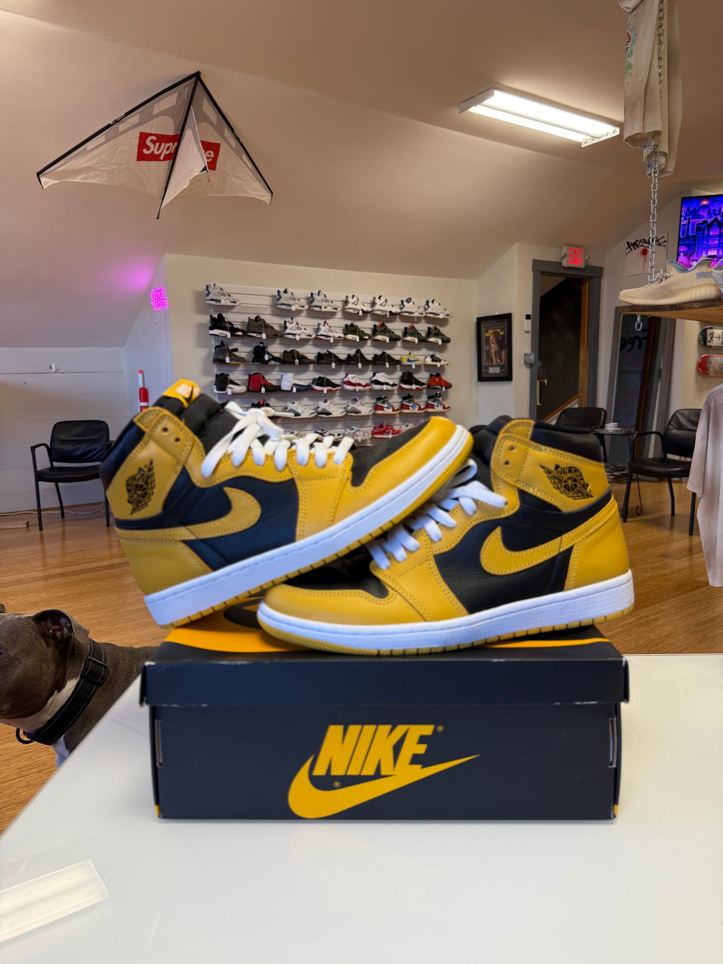 Jordan 1 Pollen