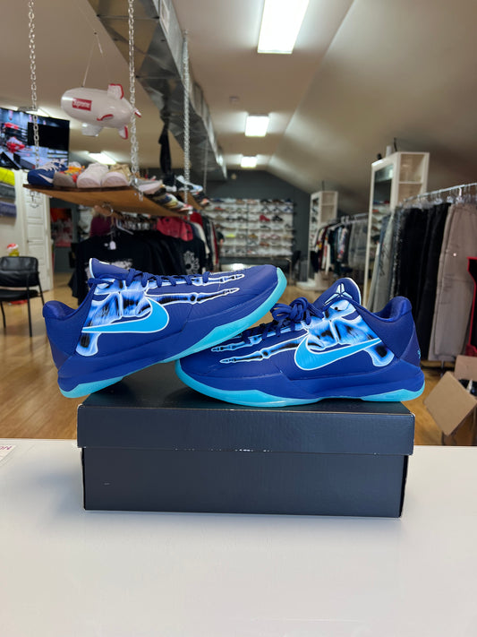 Kobe 5 X-Ray