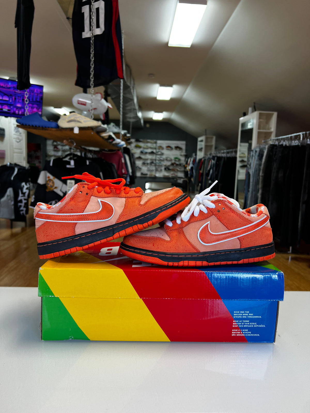 Nike Dunk SB Orange Lobster