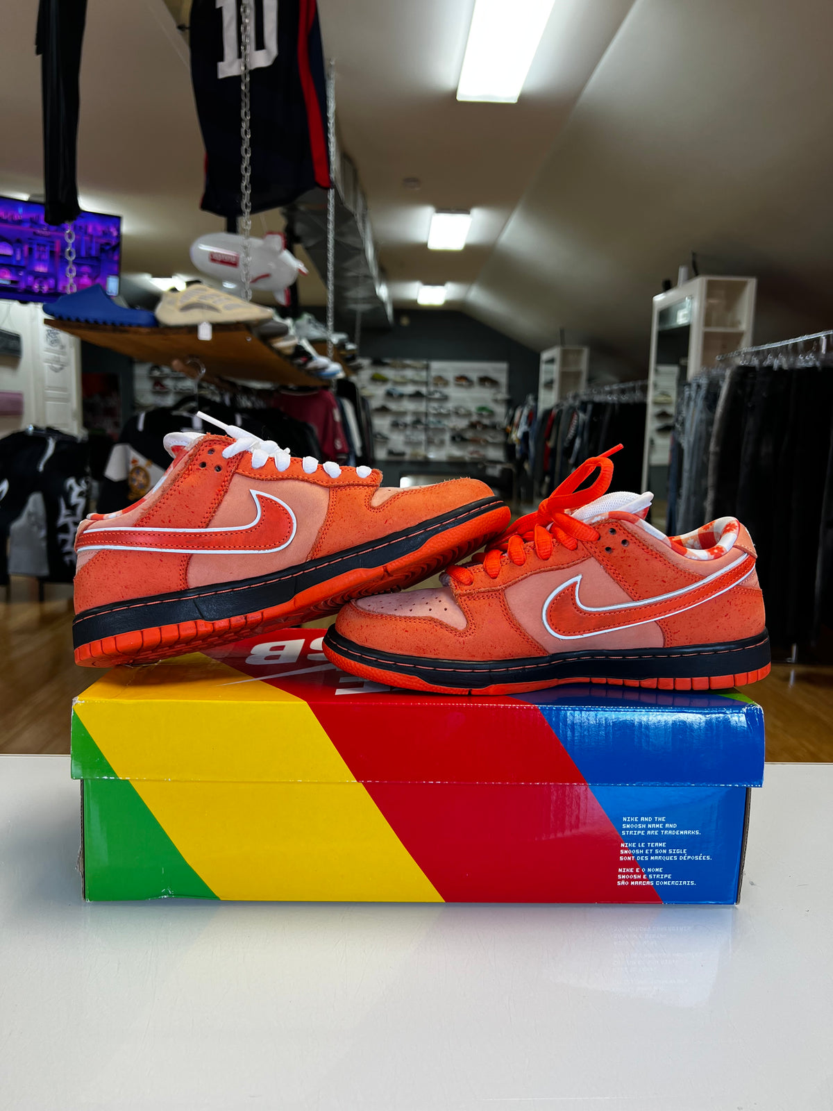 Nike Dunk SB Orange Lobster