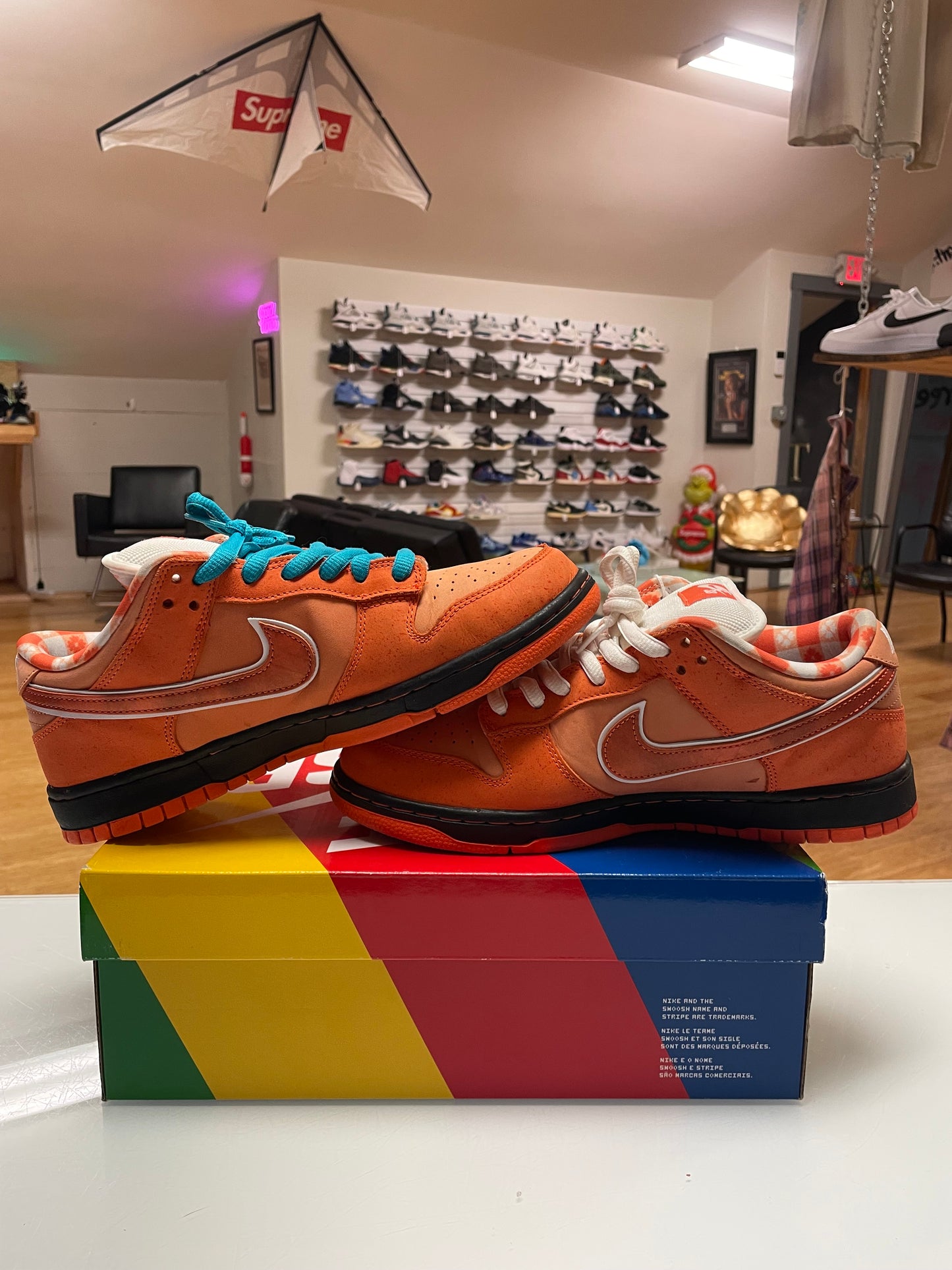 Nike Dunk SB Orange Lobster