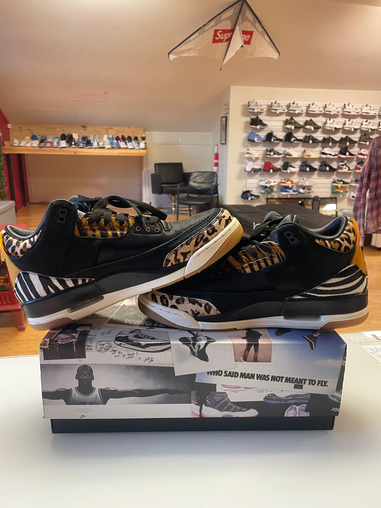 Jordan 3 Animal Instinct